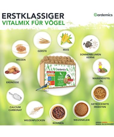 Gardemics Insect Dumplings for Wild Birds - 9 kg (100 Pieces) | Year-Round Protein Feed for Garden Biodiversity - Buy Online on GoSupps.com