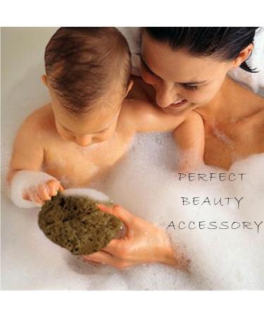 Natural Grass Sea Bath Sponge for Adults & Kids - Small Size (4-4.5 inches) | Shower & Bathing Sponge - Pack of 1 - Buy Online on GoSupps.com