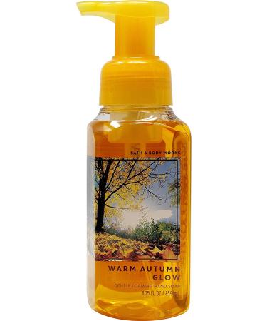Bath & Body Works Assorted 5 Pack Gentle Foaming Hand Soap - Luxurious Cleansing Experience - Buy Online on GoSupps.com