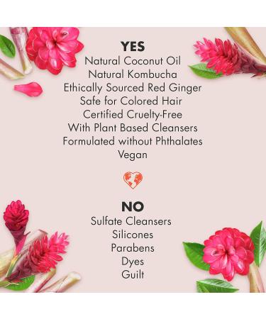 Love Beauty And Planet Sulfate Free Black Tea Kombucha & Red Ginger Shampoo - 32.3 Fl Oz | Detox & Nourish for Soft Shiny Hair - Buy Online on GoSupps.com