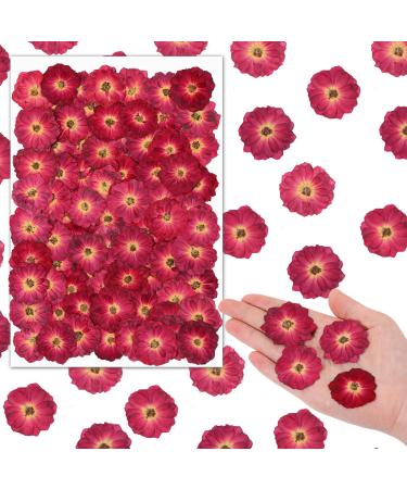 100 Pcs Red Rose Dried Pressed Flowers Small Dry Flowers Real Natural Resin Filler for Scrapbooking DIY Resin Crafts Candle Decoration Jewelry Crafts Decor Making