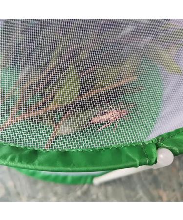 CHICIRIS Butterfly Habitat Cylindrical Monarch Butterfly Enclosure Clear Insect Cage Terrarium 12.4 x 12.4 x 15.7in - Buy Online on GoSupps.com