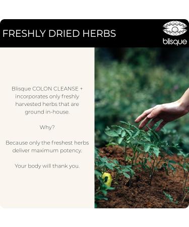 Blisque - Natural Colon Cleanse Supplement for Detox Constipation Relief Stool Softener and Digestive Health | with Aged Cascara Sagrada Bark | 90 Capsules | Vegan and Non-GMO - Buy Online on GoSupps.com