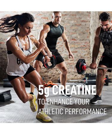 LeanFit Sport Creatine Monohydrate Powder - Informed Choice Certified Micronized & Vegan 5g Per Serving 100 Servings - Gluten-Free Unflavored - International Shipping Available - Buy Online on GoSupps.com