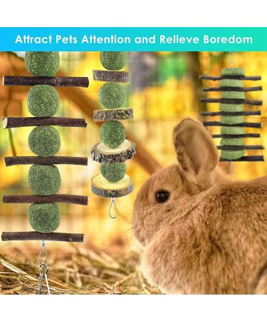 Erkoon Natural Timothy Hay Rabbit & Small Animal Chew Cubes | Dental Care Treats for Hamsters Chinchillas Guinea Pigs & More - Buy Online on GoSupps.com