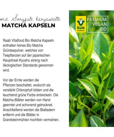 Raab Vitalfood Organic Matcha Capsules - Premium Vegan Green Tea Extract from Japan | 60 Pieces Gluten-Free 1 Month Supply - Buy Online on GoSupps.com
