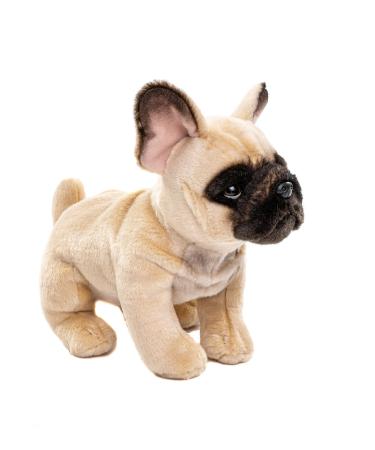 Uni -toys - French bulldog (beige) - 27 cm (length) - plush dog mastiff pet - plush toy cuddly toy beige - without a leash (upper material acrylic)