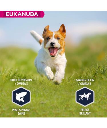 Eukanuba Dog Dry Food Jack Russell Chicken 2kg - Buy Online on GoSupps.com
