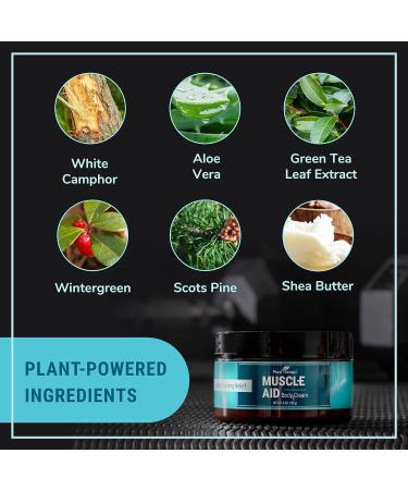Buy Plant Therapy Muscle Aid Body Cream 4 oz - Soothes Muscles Refreshing Minty Formula Clean Ingredients - International Shipping Available - Buy Online on GoSupps.com
