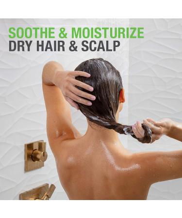 Neutrogena Soothing & Calming Healthy Scalp Conditioner to Moisturize Dry Scalp & Hair with Tea Tree Oil pH-Balanced Paraben-Free & Phthalate-Free Safe for Color-Treated Hair 354 ml. Conditioner Green - Buy Online on GoSupps.com