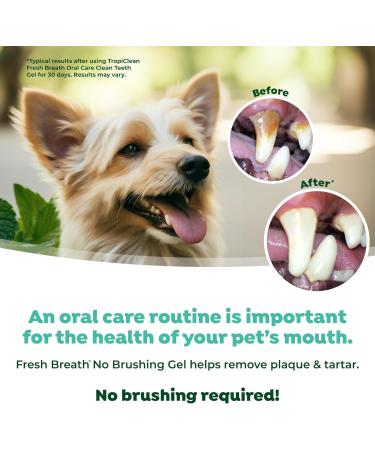 TropiClean Oral Care Gel Peanut Butter - 59 ml | Premium Dental Care for Pets - International Shipping Available - Buy Online on GoSupps.com