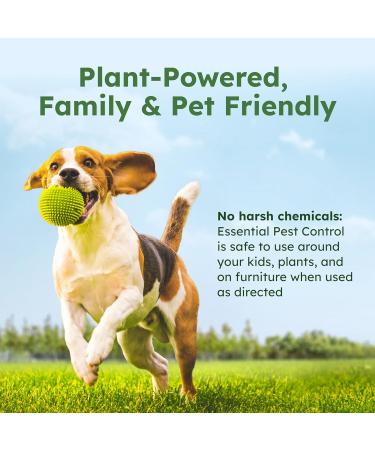 BugMD Pest Control Essential Oil Concentrate 3.7 oz (2-Pack) - Plant-Powered Bug Spray for Flies, Ants, Fleas, Ticks, Roaches, Mosquitoes - Buy Online on GoSupps.com