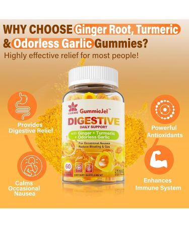 Sugar Free Ginger & Garlic Nausea Relief Gummies - Digestive Support with Turmeric, Quercetin, Vitamin D3 & C for Occasional Bloating & Gas - Buy Online on GoSupps.com