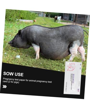 Mobestech Priority Test Strip for Farm Animals - 2ST Pregnant Tester Tool | Animal Test Paper | 1 Pack - Buy Online on GoSupps.com