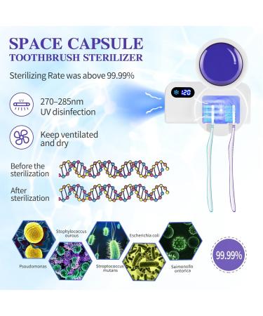 TAISHAN UV Sanitizer Toothbrush Case with Fan Drying Function - Kills 99.9% of Germs - Portable & Compact for Home and Travel - Buy Online on GoSupps.com