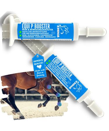 MSM Horse Willow Bark Horse Equi P Vitamin Paste Plus Glucosamine Chondroitin High Dose Horse Vitamin C Brewer's Yeast - Musculoskeletal System Joints Tendons Ligaments Cartilage 2pc