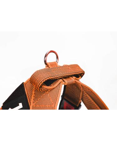 Julius-K9 XL Orange-Grey Belt Harness | Durable & Comfortable Dog Harness for International Shipping - Buy Online on GoSupps.com