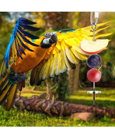 3PCS Stainless Steel Bird Skewers - Foraging Food Holder for Parrots & Small Animals - 20x16x12cm - Buy Online on GoSupps.com