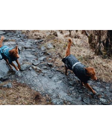 Hurtta Monsoon Dog Raincoat | Waterproof Jacket with Reflectors | Black 25cm - Perfect for All Breeds - Buy Online on GoSupps.com