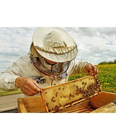 USDA Certified Organic Beeswax Pastilles 4oz - Pure Yellow for DIY Candle, Lip Balm, Body Cream, Deodorant & More - Buy Online on GoSupps.com