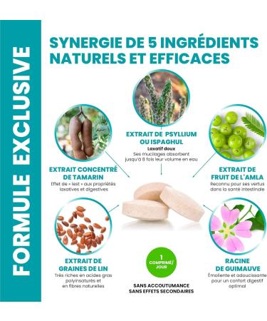 TRANSITAL PREMIUM | 5 Active Intestinal Transit 100% Natural | Rapid Colon Detox & Fiber | Non-Irritating | Ispaghul 600mg Tamarin India 450 mg Amla Vitamin C | Anti-Bloating & Constipation - Buy Online on GoSupps.com