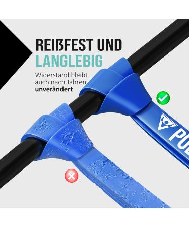 Buy Pull-Up & DIP Fitness Straps Resistance Tapes with Bag | Door Anchor & Exercise Guide | Medium Calisthenics Band (Blue) - Affordable Sets for Home Workouts - Buy Online on GoSupps.com