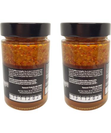 Pure Greek Honey with Pollen and Propolis | 500g (2 x 250g) | The Antioxidant Superfood | Unpasteurized unheated unprocessed | Loaded with Important Nutrients - Buy Online on GoSupps.com