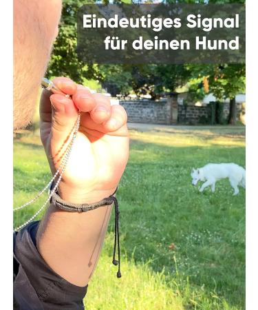 Enero Metal Dog Whistle - High Frequency Adjustable Recall Whistle | Perfect Dog Accessories for Training - Buy Online on GoSupps.com