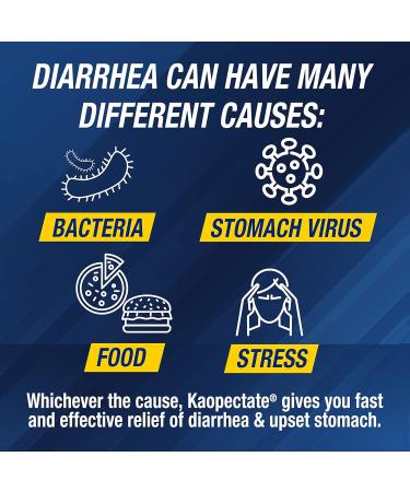 Kaopectate Multi-Symptom Anti-diarrheal and Upset Stomach Reliever 28 Count 28 Count (Pack of 1) New Version - Buy Online on GoSupps.com