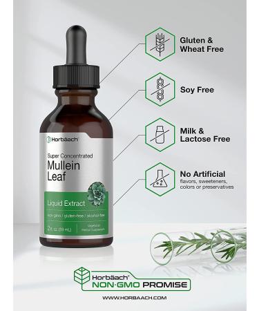 Mullein Leaf Liquid Extract 2 fl oz | Alcohol-Free, Vegetarian, Non-GMO & Gluten-Free | Horbaach - Buy Online on GoSupps.com