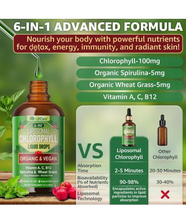 Organic Chlorophyll Liquid Drops Liposomal for Women & Men 6-in-1 Greens Superfood Vegan Chlorophyll w/Spirulina Wheat Grass Vitamin C B12 A for Internal Deodorant* Energy Digestive 1Packs/2 Fl Oz 2 Fl Oz (Pack of 1) - Buy Online on GoSupps.com