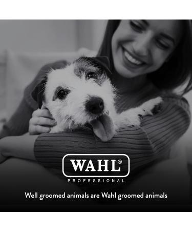 WAHL Professional Animal KM10 2-Speed Brushless Motor Pet Dog and Horse Clipper Kit - Turquoise - Buy Online on GoSupps.com