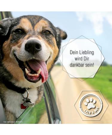 Lolo & Max Dentaclean Gel Classic | 100% Natural Tooth Cleaning Gel for Dogs & Cats | Tartar Control & Dental Care - Buy Online on GoSupps.com