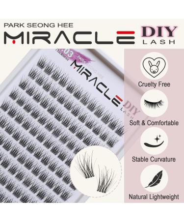 Park Sung Hee Miracle Lash DIY False Eyelashes - Lengthening 9mm-16mm Lash Clusters Contact Lens Friendly Easy to Apply Reusable Strip Lashes (E5-280 13mm - Buy Online on GoSupps.com