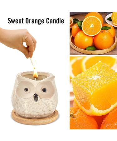 Kinforse Scented Candles - Cute Orange Owl Gift | Perfect Birthday Gifts for Women - Buy Online on GoSupps.com
