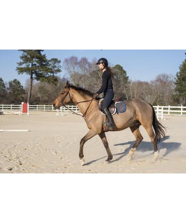 Intrepid International Equestrian Jump Bat - Premium Quality Riding Crop - Buy Online on GoSupps.com