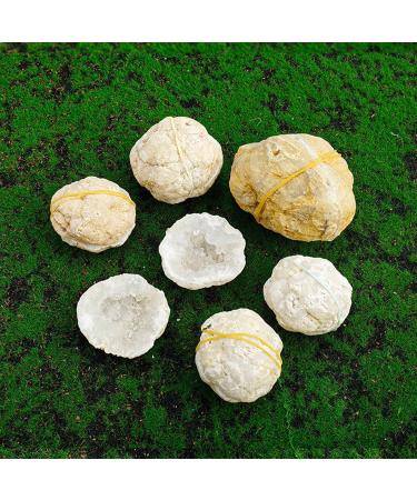 Pair of Agate Geode Natural Reiki Rock Used for Clarity and Purpose Crystal Cluster Gemstone Specimen for Ornaments D cor Artwork Gifts 100-200g Gift (Size : 200-260g) - Buy Online on GoSupps.com