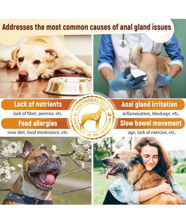Buy GastroBalance Healthy Anal Glands Dog Chews - 60 Natural Chicken Flavor Soft Snacks for Optimal Health - Buy Online on GoSupps.com