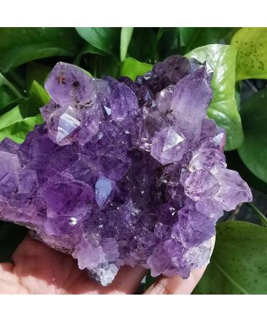 Natural Crystal Rough 1pc Natural Amethyst Quartz Crystal Cluster Specimen (Color : 850g)