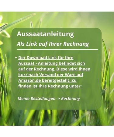 BEESI 100g Turtle Seed Mix for Fodder Plants - Includes Sowing Instructions & Herbs | International Shipping Available - Buy Online on GoSupps.com