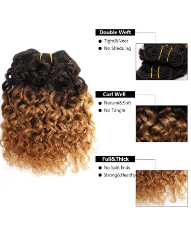 Ombre Brown Curly Human Hair Bundles 8 Inch, 12A Brazilian Virgin Kinky Curly Weave Bundles, Pack of 4 for Women - Buy Online on GoSupps.com