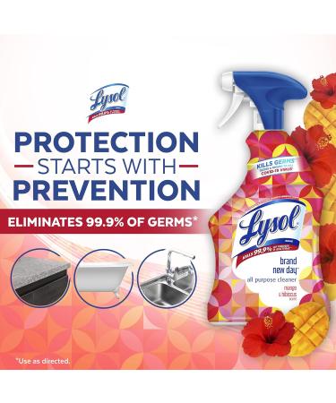 Lysol Bathroom Cleaner Mango & Hibiscus 32 Oz - Pack of 3 | International Shipping Available - Buy Online on GoSupps.com