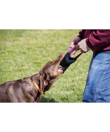 Buy Julius-K9 Leather Bite Sausage - 25cm x 5.5cm with Two Hand Loops | International Shipping - Buy Online on GoSupps.com
