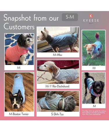 KYEESE Reflective Quick Dry Dog Shirt | Lightweight Soft Breathable Vest for Small Medium Dogs | Blue | 14 Chest - Buy Online on GoSupps.com