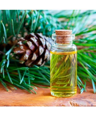 Forest Magic Organic Essential Oils Set - Scotch Pine, Juniper, Silver Fir | 100% Pure & Natural, Therapeutic Grade | Family-Owned Farm | Non-GMO | 3 x 10 ml - Buy Online on GoSupps.com