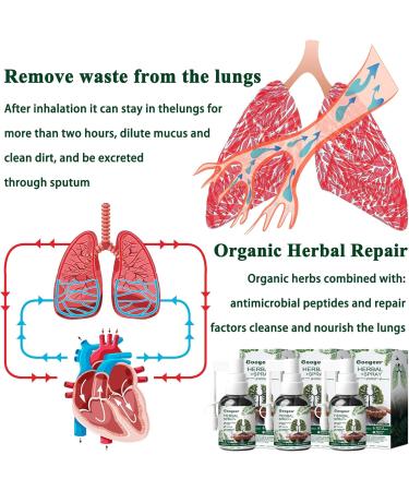 Buy 3 PCs Lung Cleaning Herbal Spray - RespiNature Herbal Lung Cleanse & Cleansing Spray for Optimal Lung Health - Buy Online on GoSupps.com