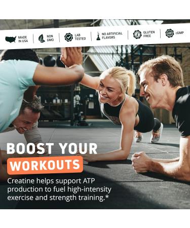 Herbtonics Creatine Monohydrate + Multi Collagen Protein Powder 10g Per Serving | Grass-Fed Hydrolyzed Collagen Peptides (Type 1 2 3 5 10) for Lean Muscle Growth Recovery and Energy | Unflavored - Buy Online on GoSupps.com