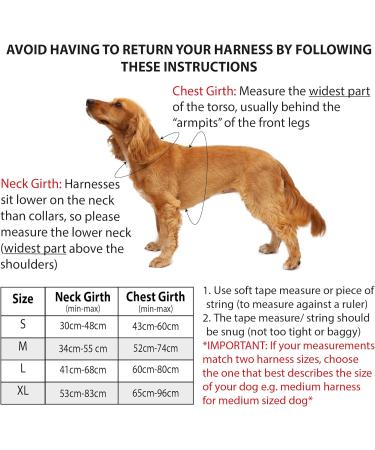Elite Paws UK Premium Metal Buckle Dog Harness - Black Medium | Adjustable, Reflective, Padded Comfort | Front/Back Lead Attachments | Soft Handle Pet Walking Vest - Buy Online on GoSupps.com