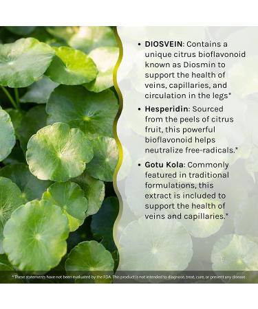 Irwin Naturals Love My Legs - Vein & Circulation Support, 60 Liquid Soft-Gels - Buy Online on GoSupps.com