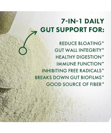 BIOHM Essential Digestive Greens | Best Green Superfood Powder with Antioxidants Probiotics & Enzymes Enhance Digestion & Wellness - Buy Online on GoSupps.com